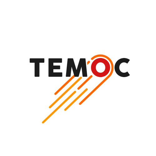 Temoc Holdings, LLC